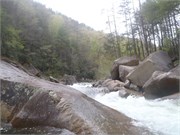 Wilsons Creek 124